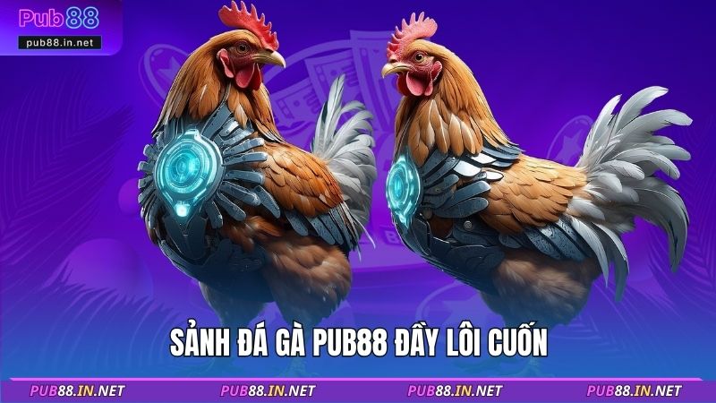 Sảnh đá gà PUB88 đầy lôi cuốn