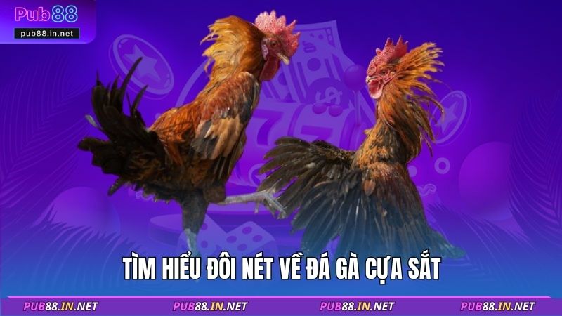 Tìm hiểu đôi nét về đá gà cựa sắt