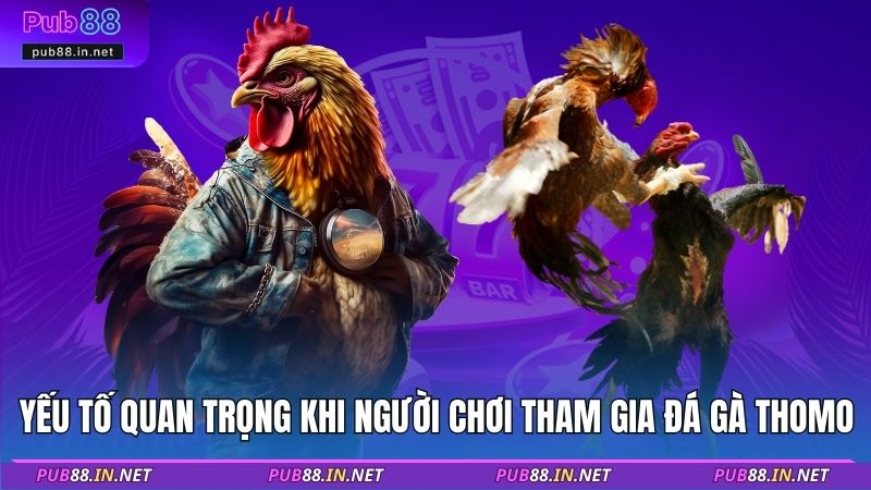 Yếu tố quan trọng khi người chơi tham gia đá gà thomo